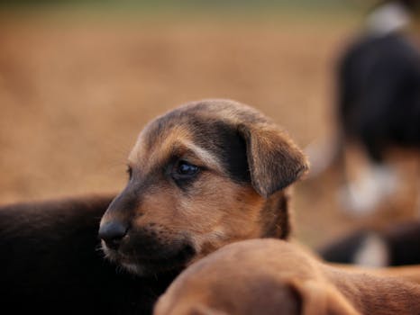 Unlock VIP perks with a smart rewards plan